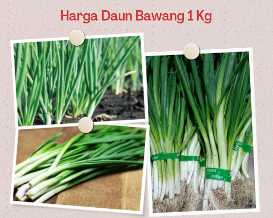 Harga Daun Bawang 1 Kg