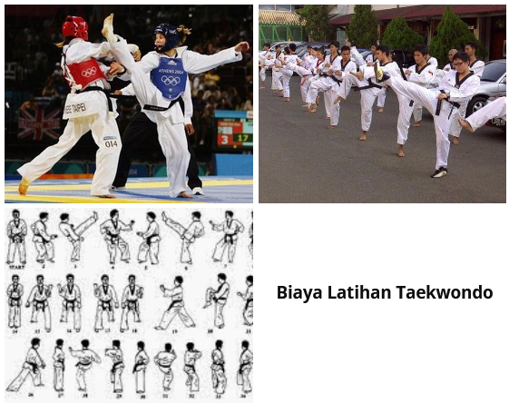Biaya Latihan Taekwondo